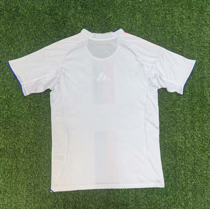 France -Ligue 1 2025/2026 Home Fan Version Football Jersey