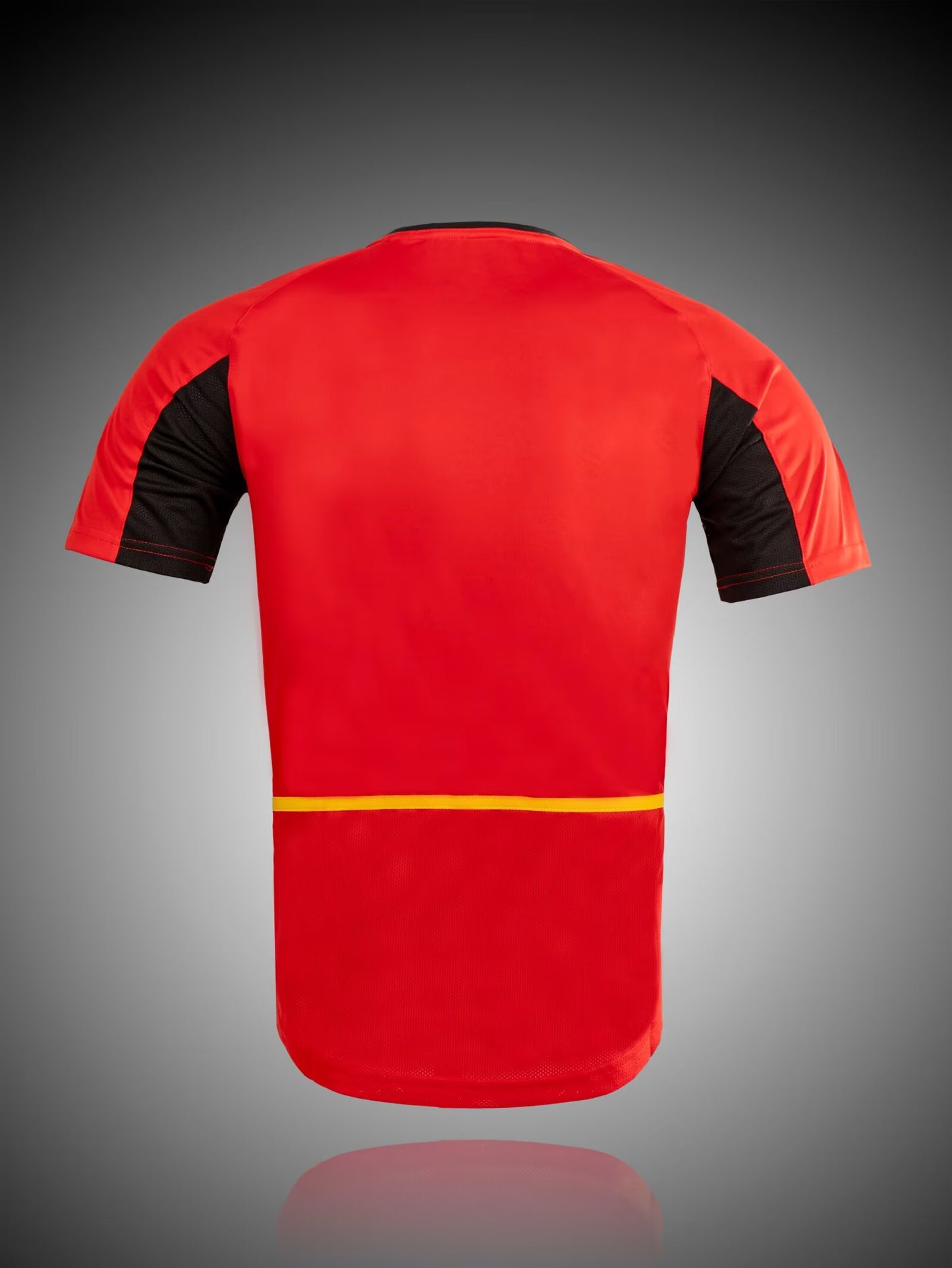 Retro Belgium 2002 Home Football Jersey