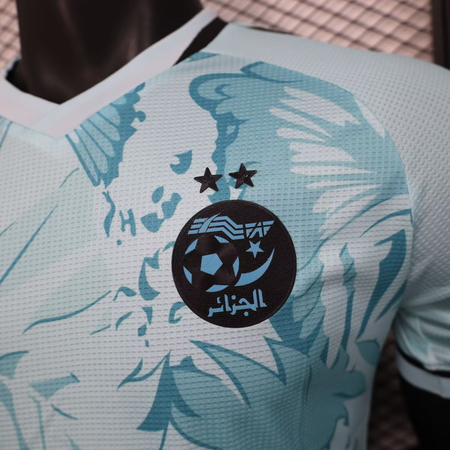 Algeria 2025 Player Version Football Jersey