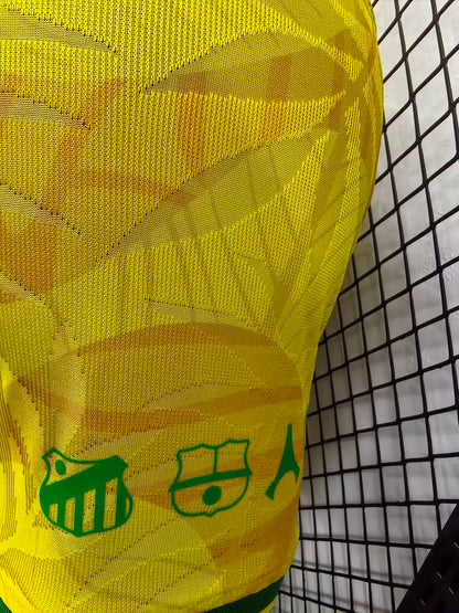 Brazil Special Edition 2024/2025 Player Version Football Jersey