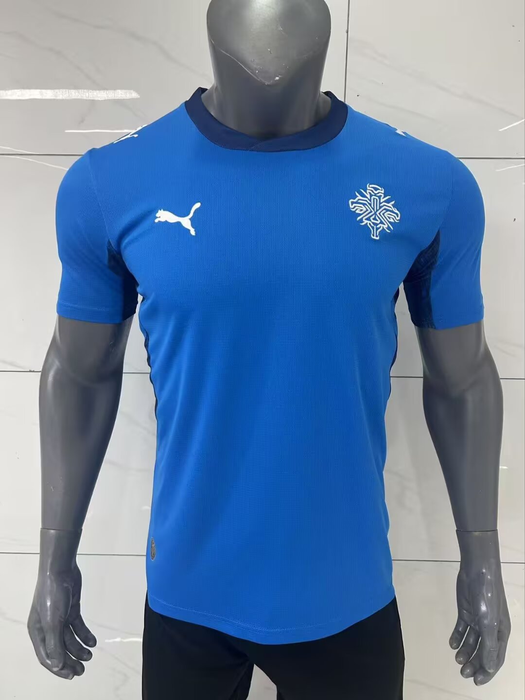 Iceland 2026/2027 Home Fan Version Football Jersey