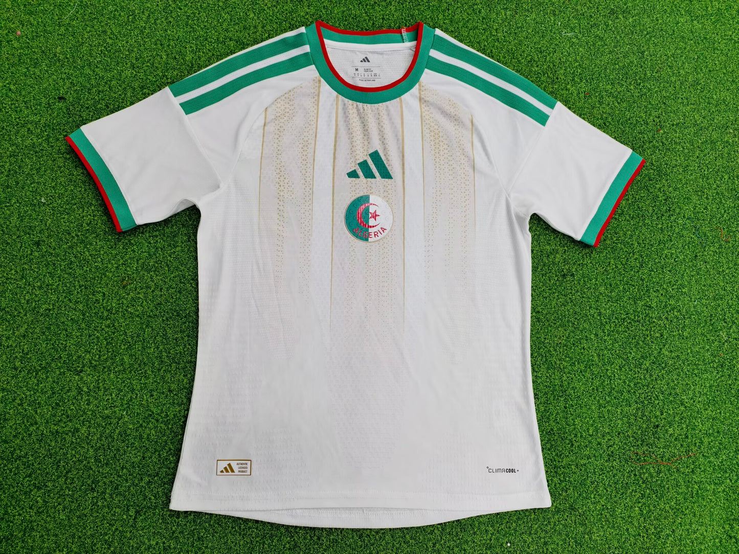 Algeria 2026/2027 Home Player Version Football Jersey