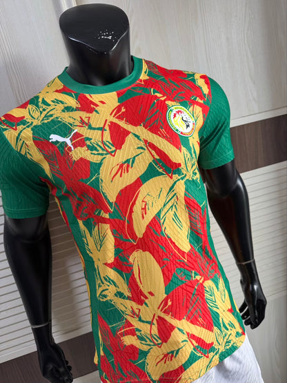 Senegal Special Edition 2025/2026 Player Version Football Jersey