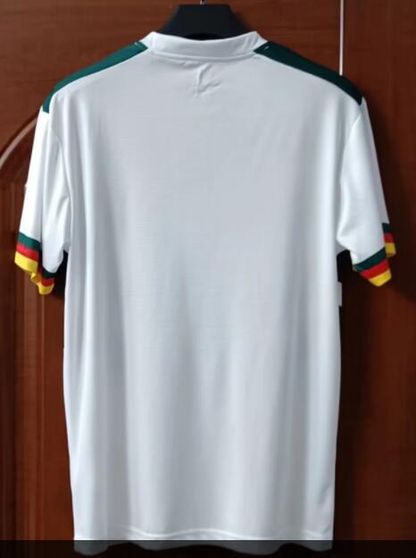 Cameroon 2022/2023 Away Fan Version Football Jersey
