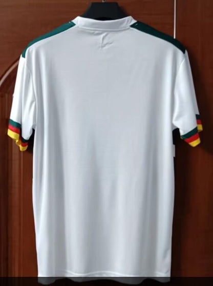 Cameroon 2022/2023 Away Fan Version Football Jersey