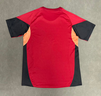 Liverpool Special Edition 2025/2026 Fan Version Football Jersey