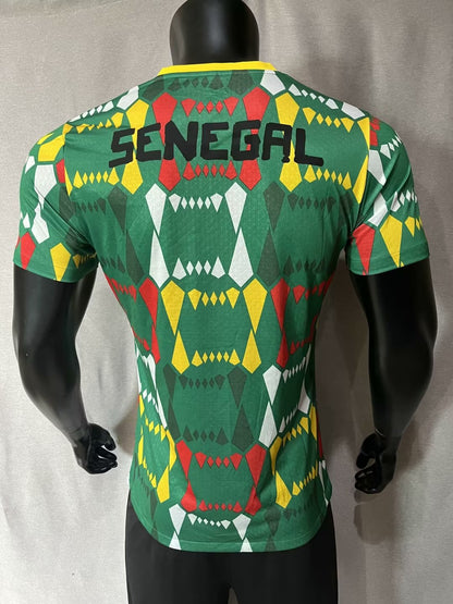 Senegal 2023/2024 Away Player Version Football Jersey