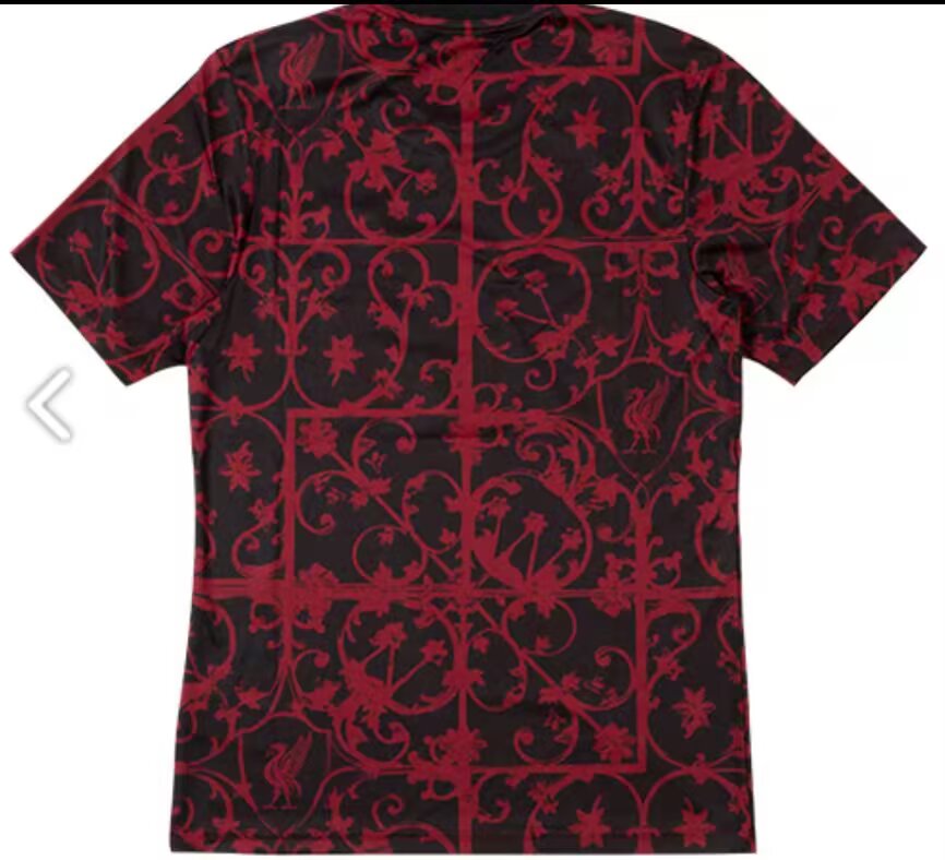 Liverpool Special Edition 2025/2026 Fan Version Football Jersey