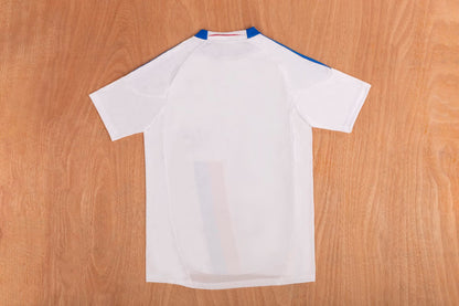 Retro Lyon 2010/2011 Home Fan Version Football Jersey